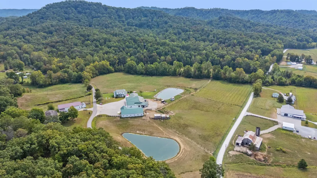 4445 Pine Grove Road Means KY 40346