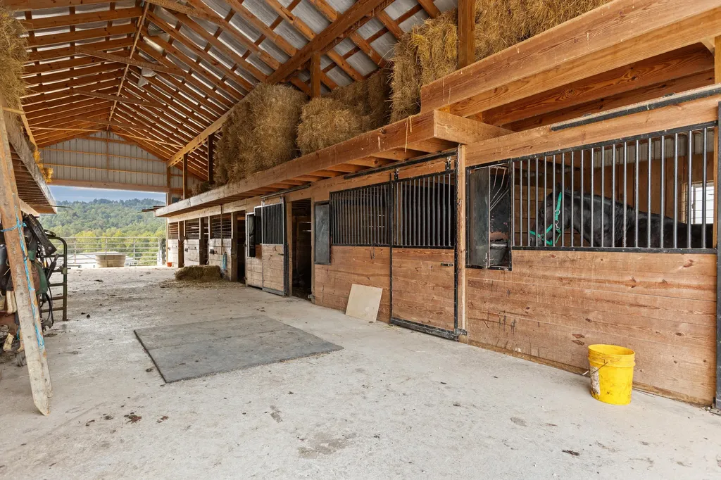 4445 Pine Grove Road Means KY 40346