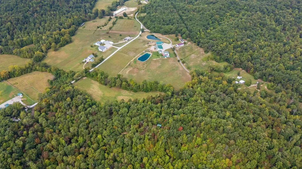 4445 Pine Grove Road Means KY 40346