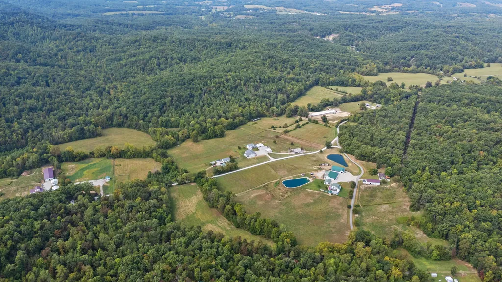 4445 Pine Grove Road Means KY 40346