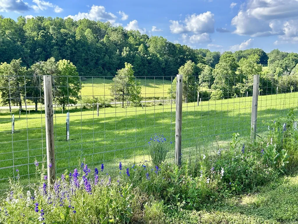 94 Tarter Cemetery Road Nancy KY 42544