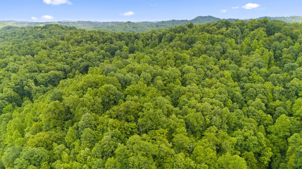 1235 Greenbrier Branch Road Campton KY 41301