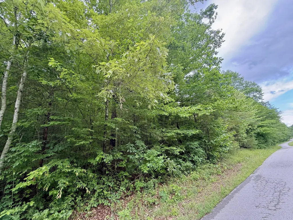 1200 Owens Branch Road Dunnville KY 42528