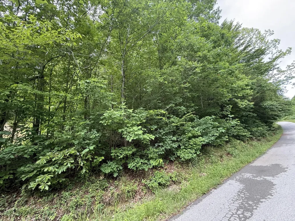1200 Owens Branch Road Dunnville KY 42528