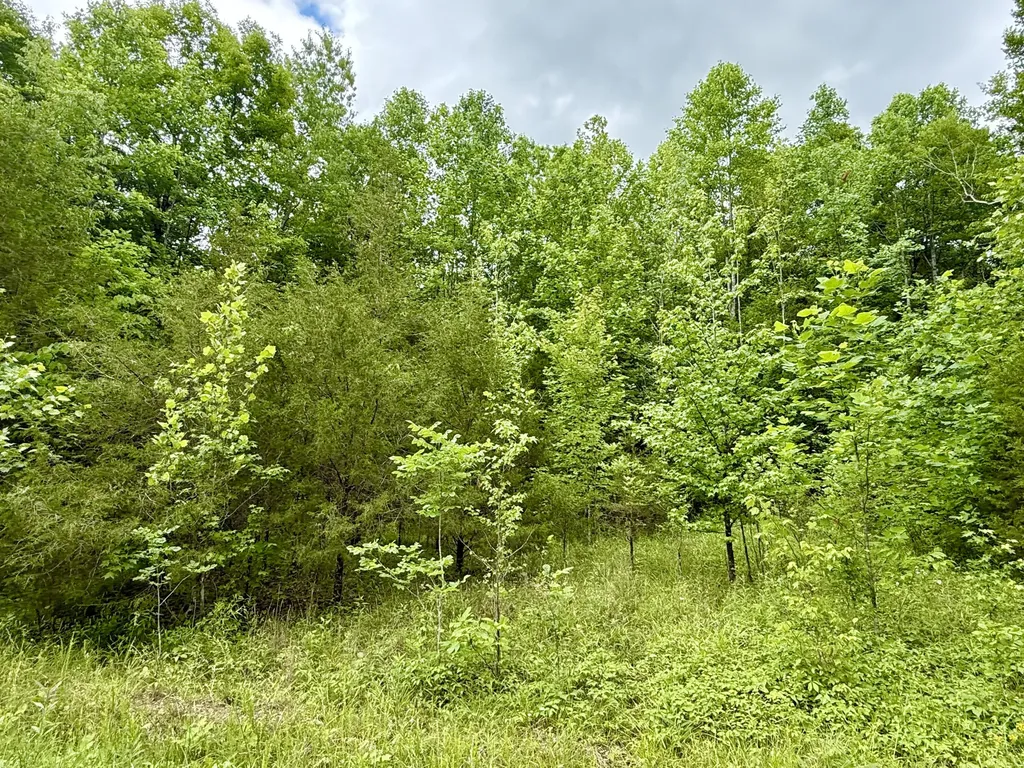 1200 Owens Branch Road Dunnville KY 42528