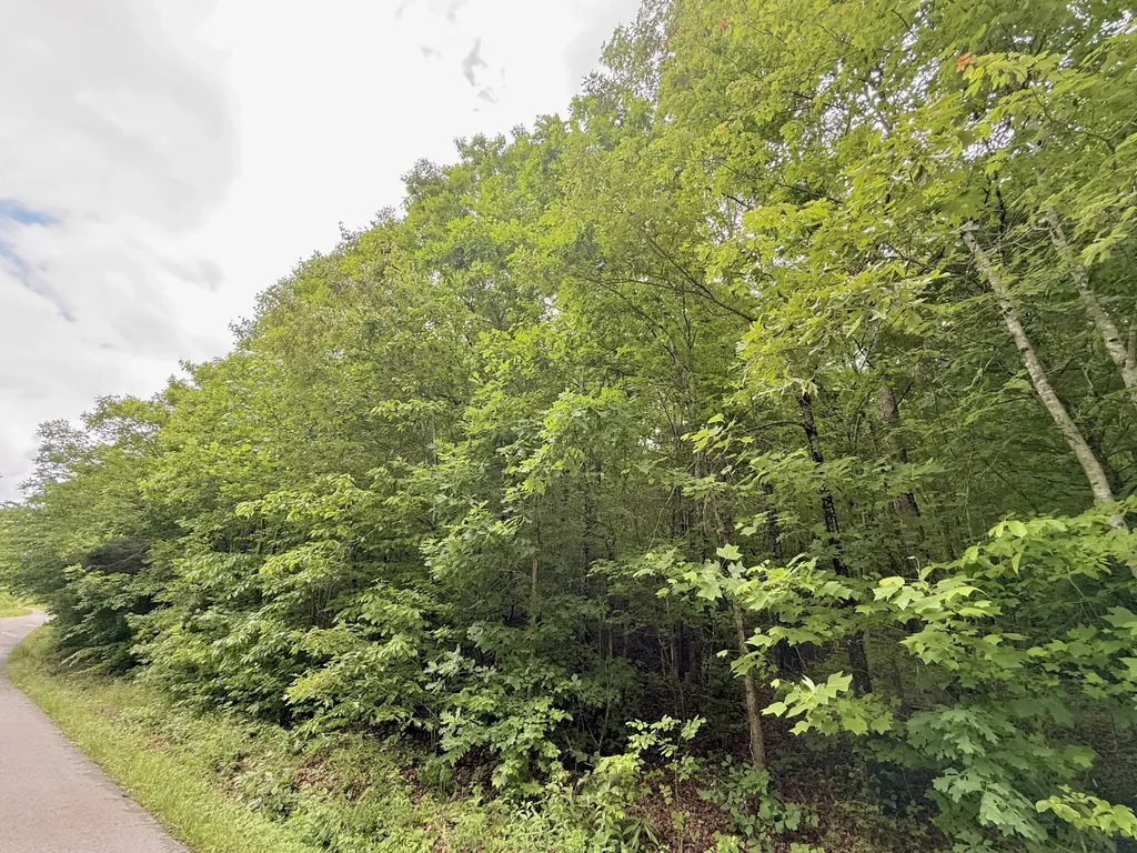 1200 Owens Branch Road Dunnville KY 42528