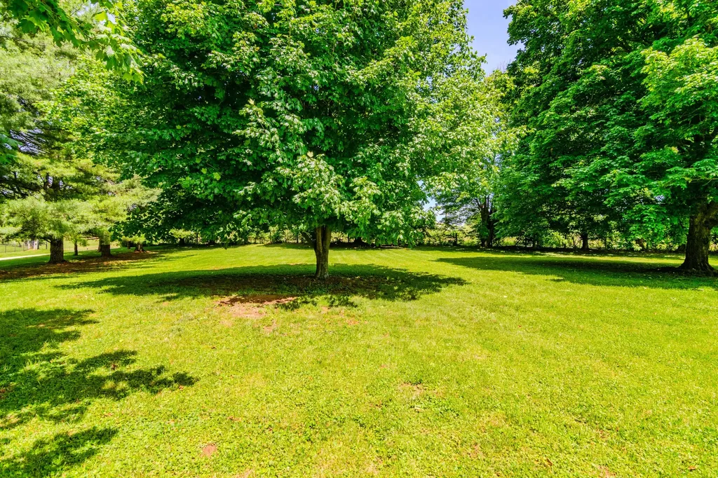 3095 Old Maysville Road Mt Sterling KY 40353