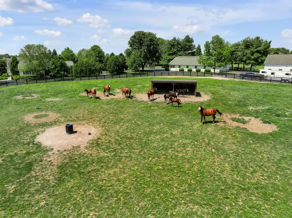 595 Moores Mill Road Midway KY 40347