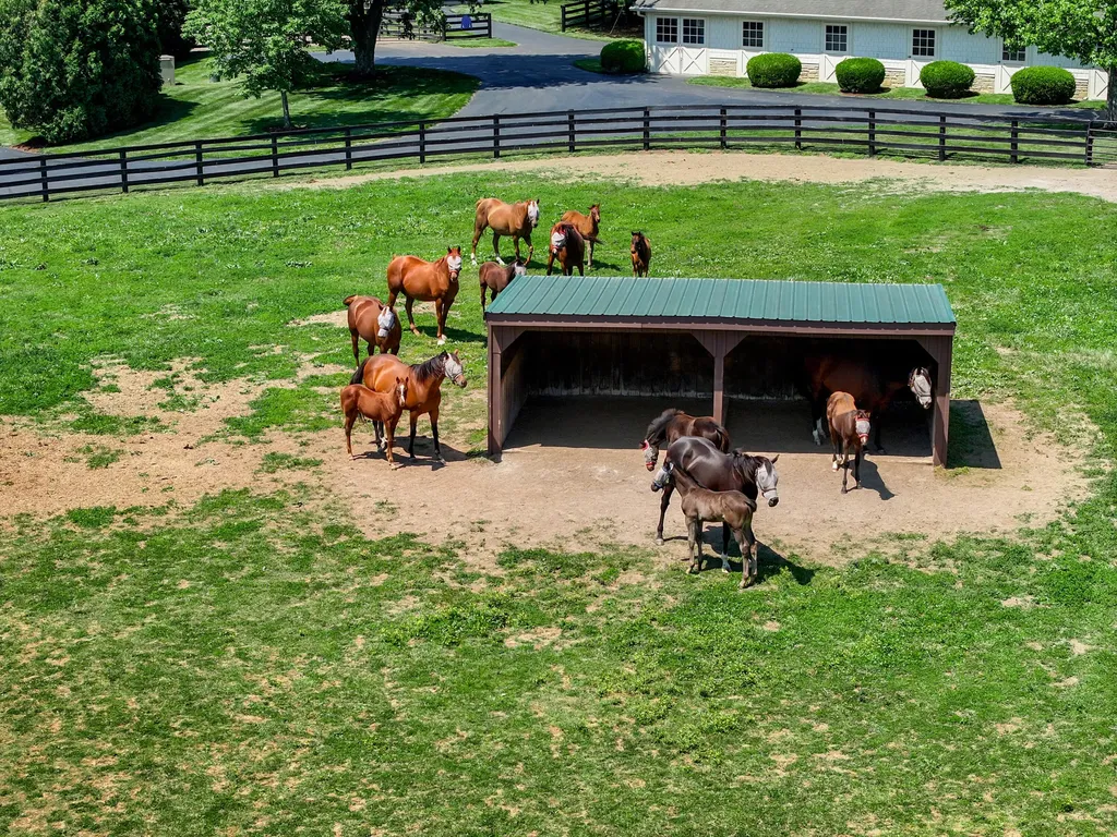 595 Moores Mill Road Midway KY 40347