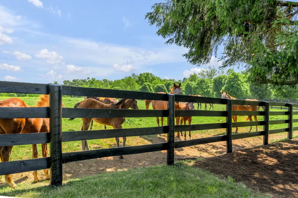 595 Moores Mill Road Midway KY 40347
