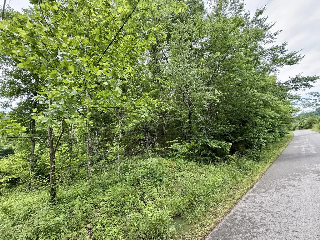 1350 Owens Branch Road Dunnville KY 42528