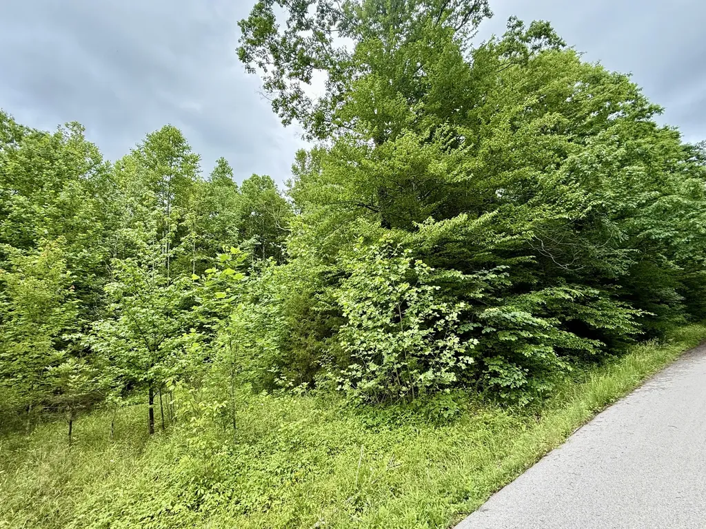 1350 Owens Branch Road Dunnville KY 42528