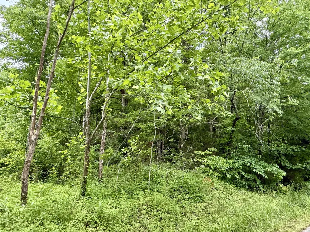 1350 Owens Branch Road Dunnville KY 42528
