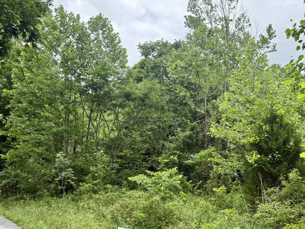 1350 Owens Branch Road Dunnville KY 42528