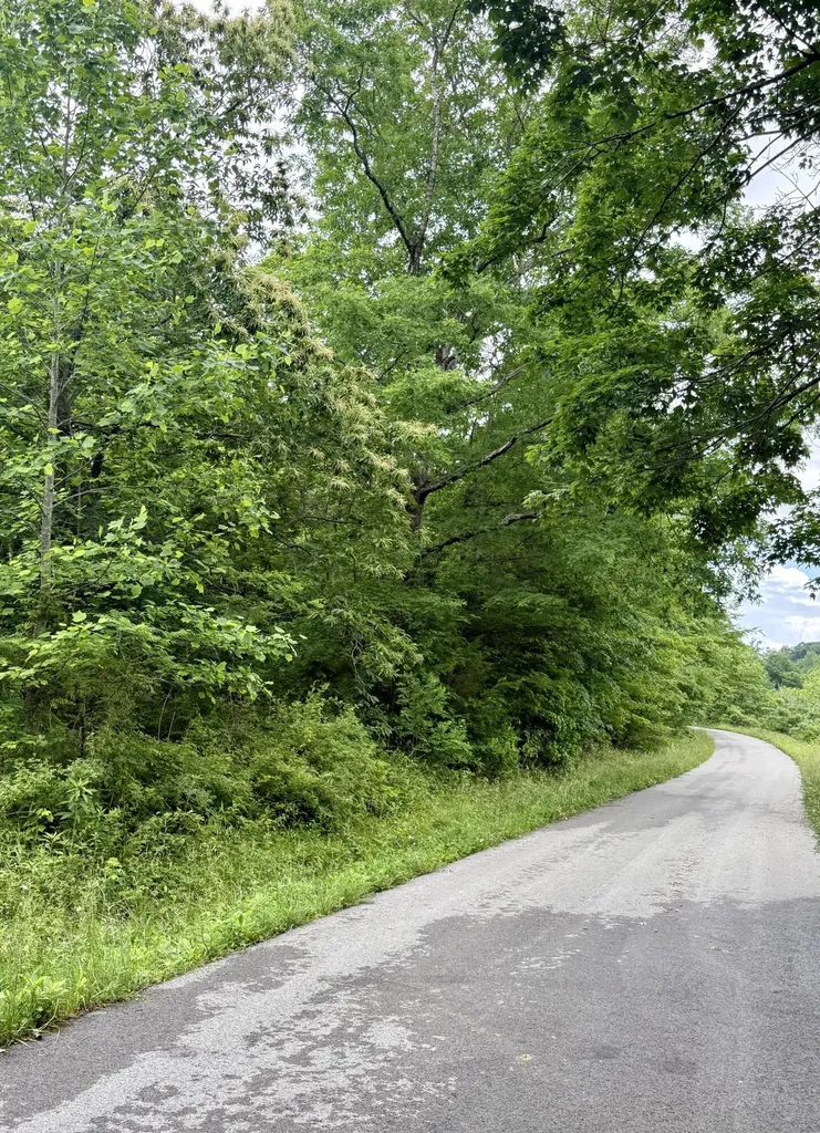 1350 Owens Branch Road Dunnville KY 42528