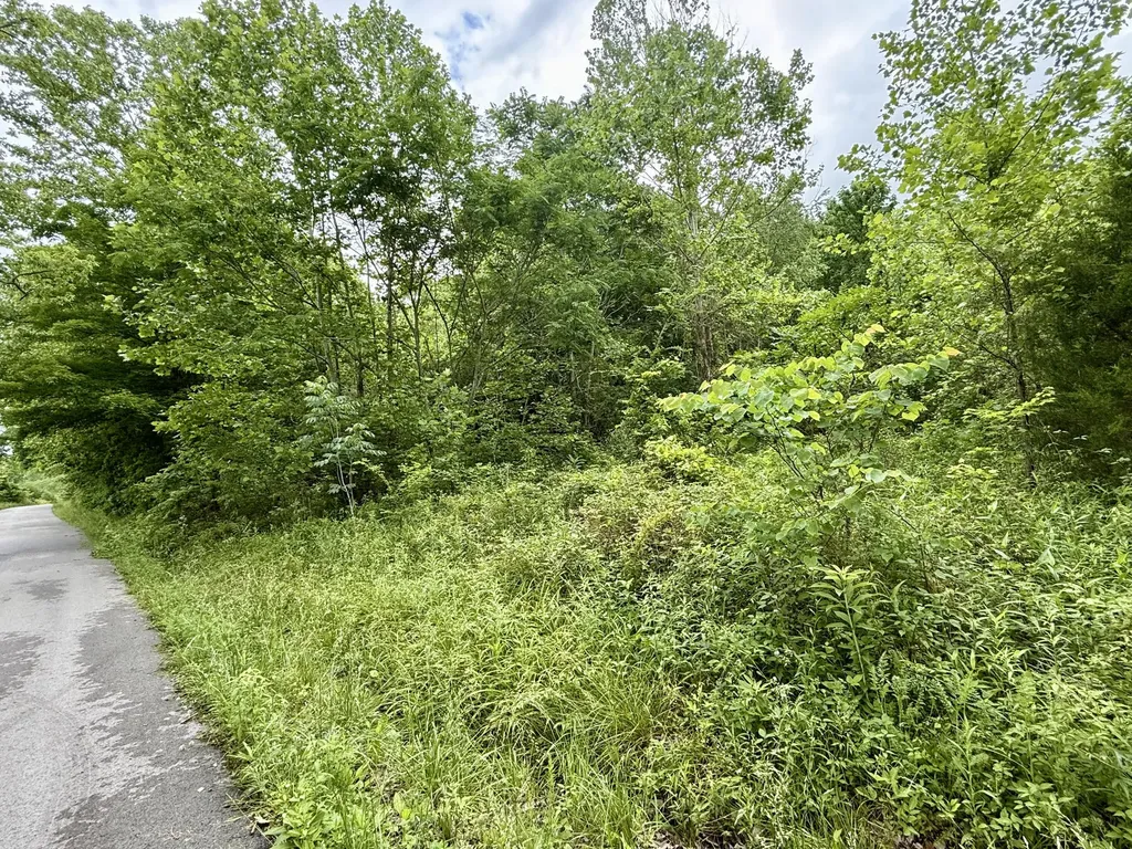 1350 Owens Branch Road Dunnville KY 42528
