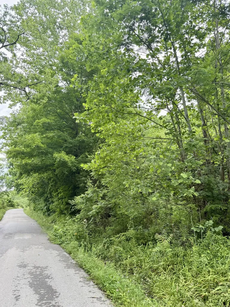1350 Owens Branch Road Dunnville KY 42528