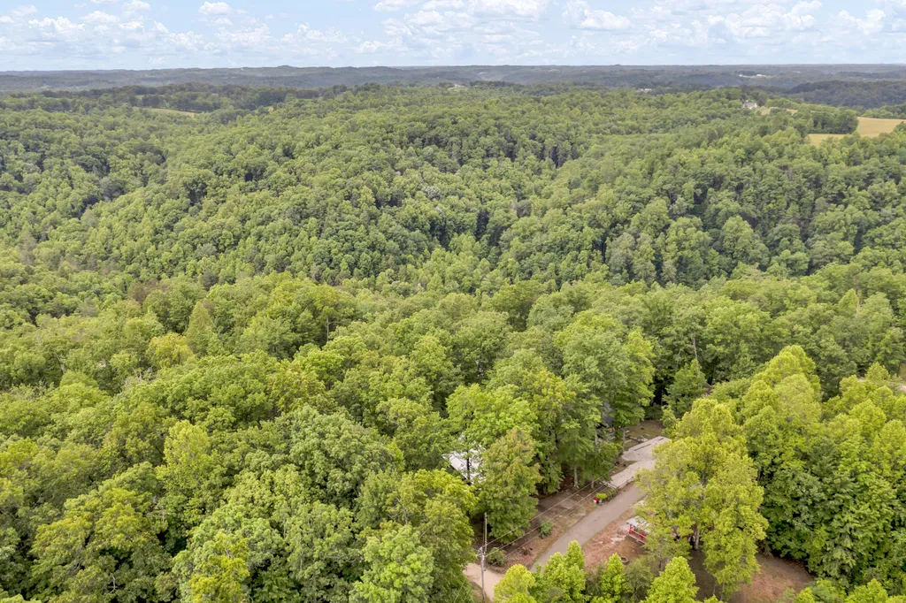 401 Turkey Ridge Road Wellington KY 40387