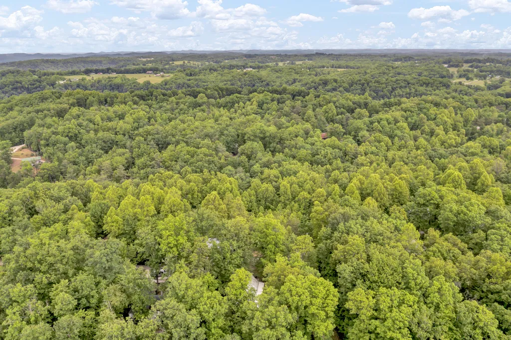 401 Turkey Ridge Road Wellington KY 40387