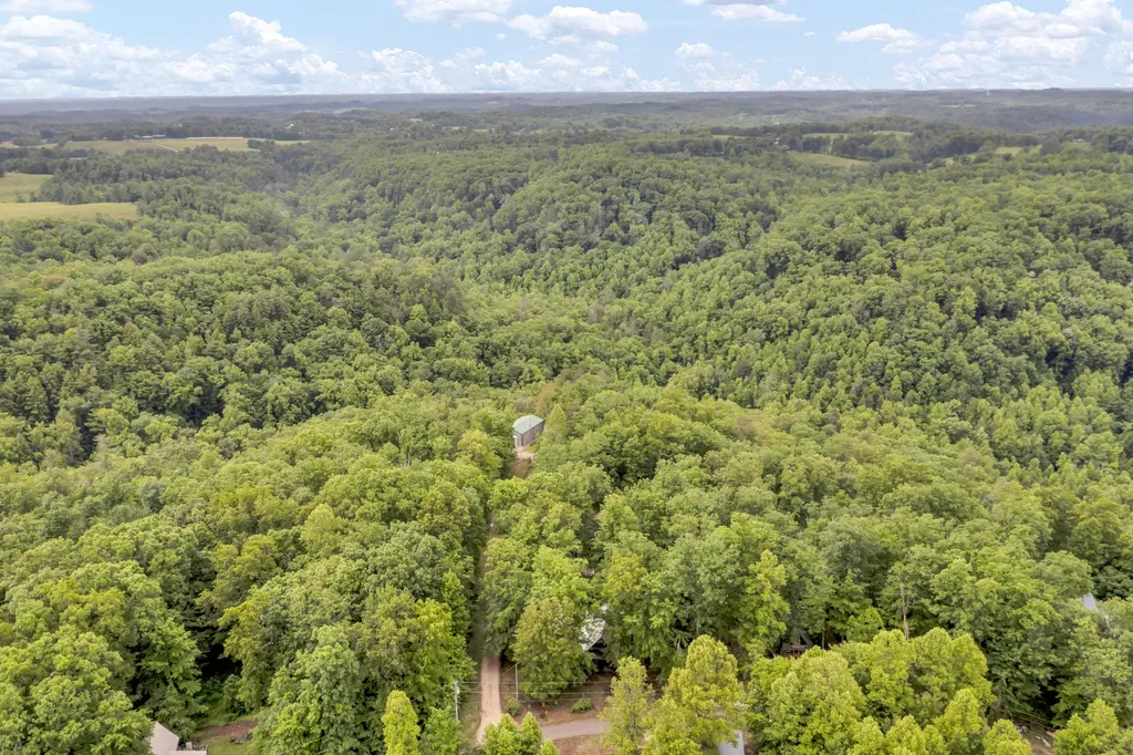 401 Turkey Ridge Road Wellington KY 40387
