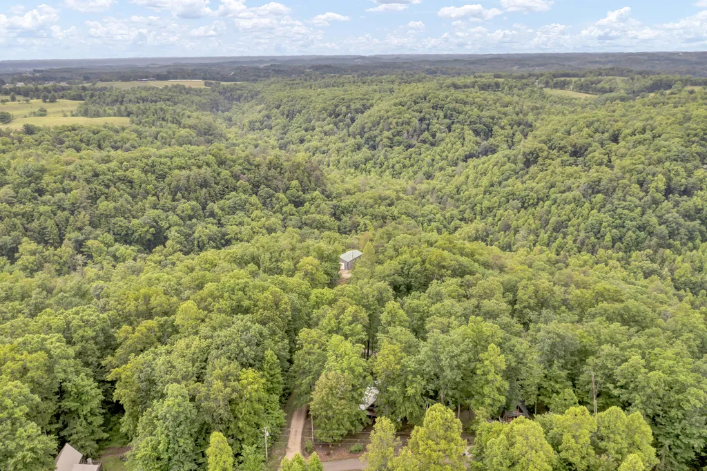 401 Turkey Ridge Road Wellington KY 40387