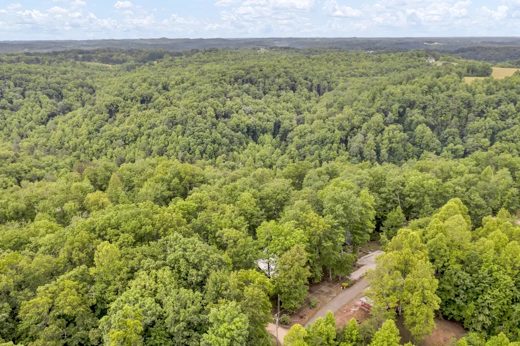 401 Turkey Ridge Road Wellington KY 40387