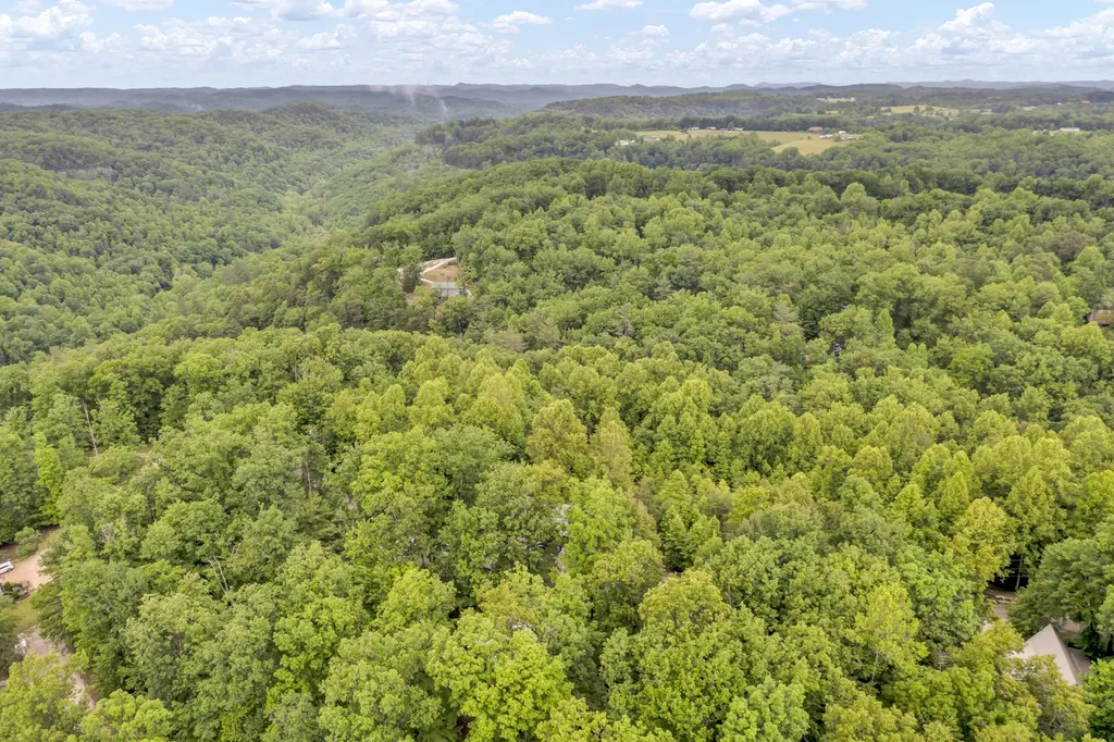 401 Turkey Ridge Road Wellington KY 40387