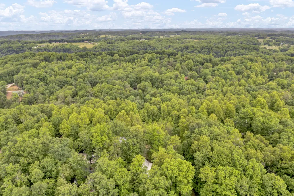 401 Turkey Ridge Road Wellington KY 40387