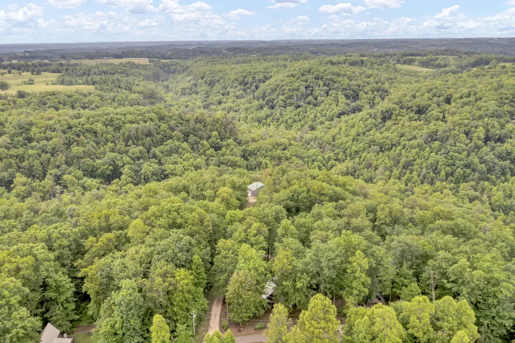 401 Turkey Ridge Road Wellington KY 40387
