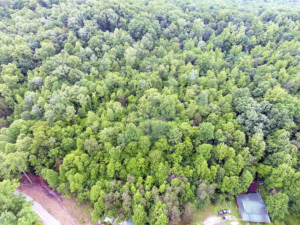 452 Langford Prong Road Somerset KY 42501