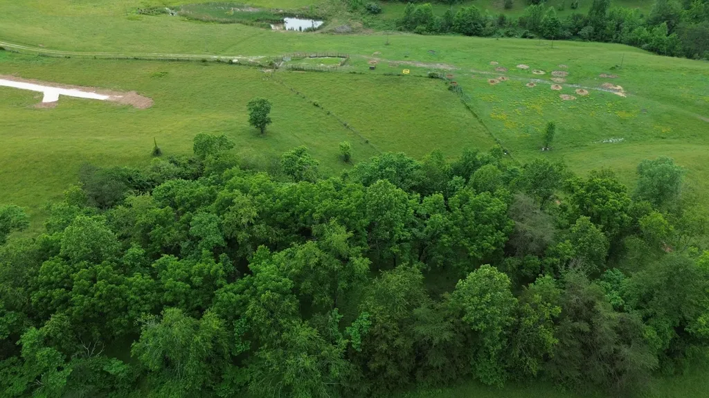 4135 Big Andy Ridge Road Rogers KY 41365
