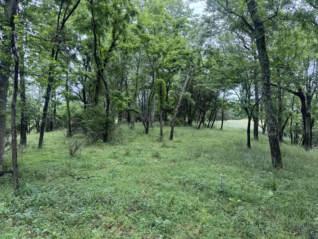 4135 Big Andy Ridge Road Rogers KY 41365