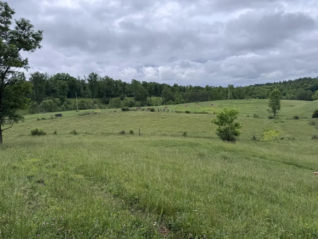 4135 Big Andy Ridge Road Rogers KY 41365