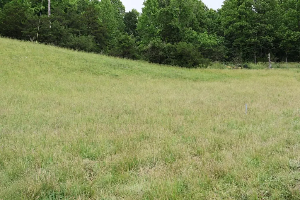 4135 Big Andy Ridge Road Rogers KY 41365