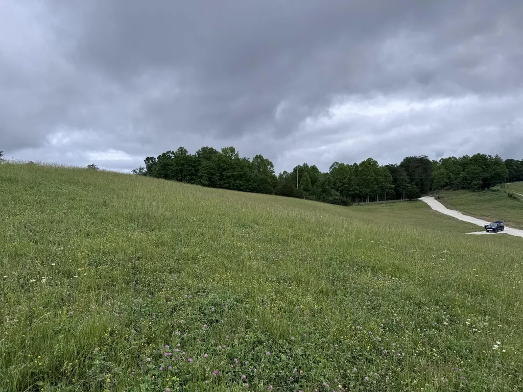 4135 Big Andy Ridge Road Rogers KY 41365
