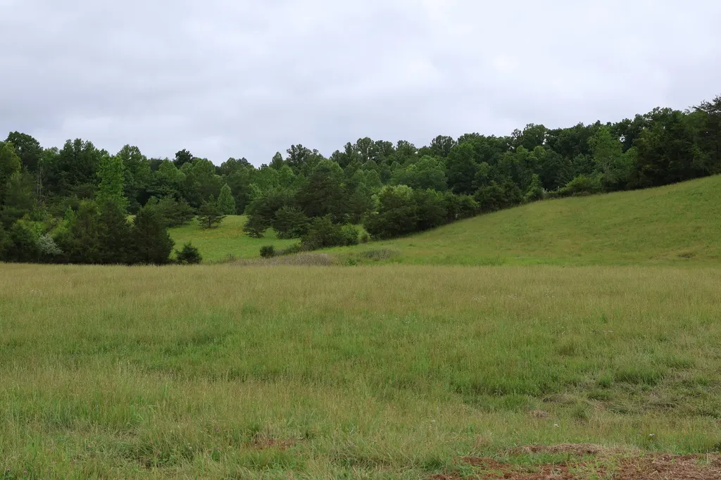 4135 Big Andy Ridge Road Rogers KY 41365