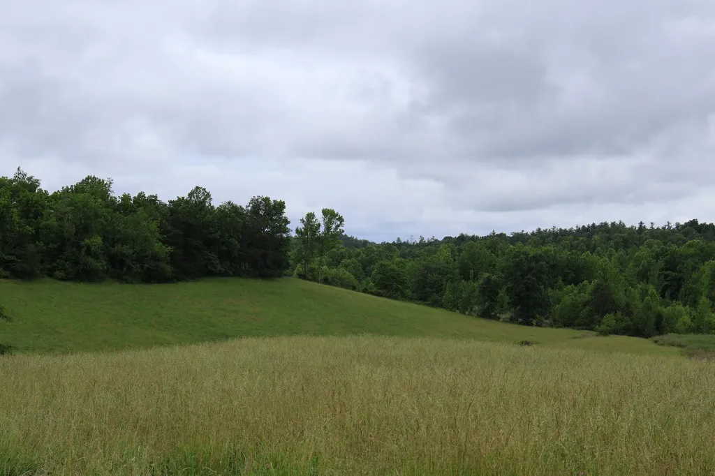 4135 Big Andy Ridge Road Rogers KY 41365
