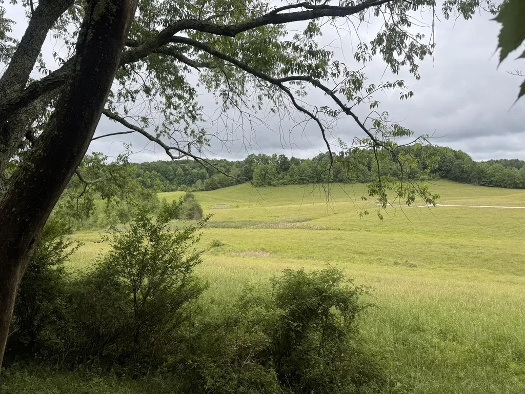 4135 Big Andy Ridge Road Rogers KY 41365
