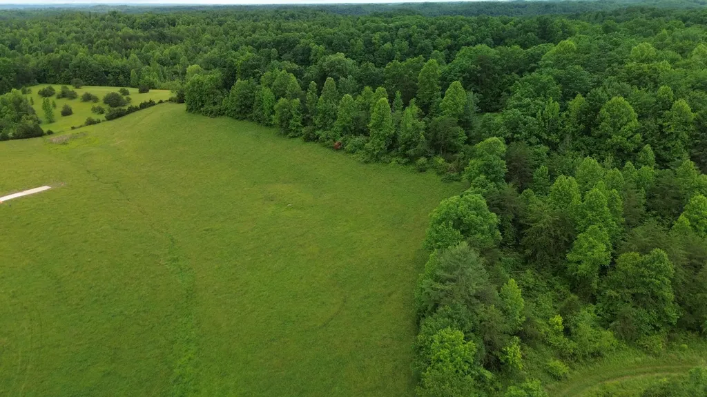 4135 Big Andy Ridge Road Rogers KY 41365