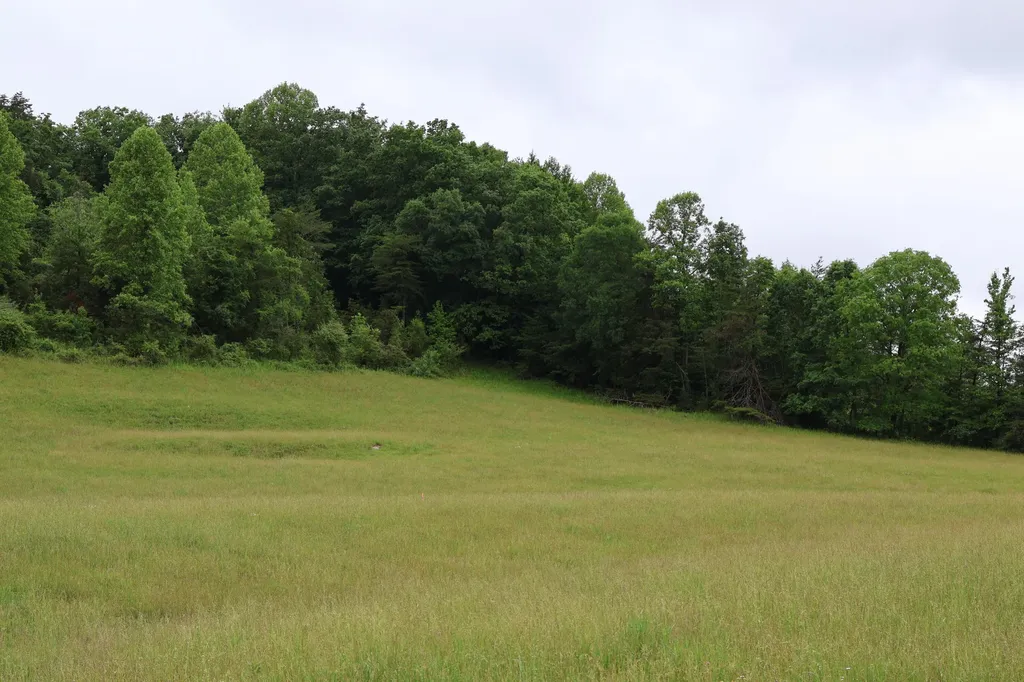 4135 Big Andy Ridge Road Rogers KY 41365
