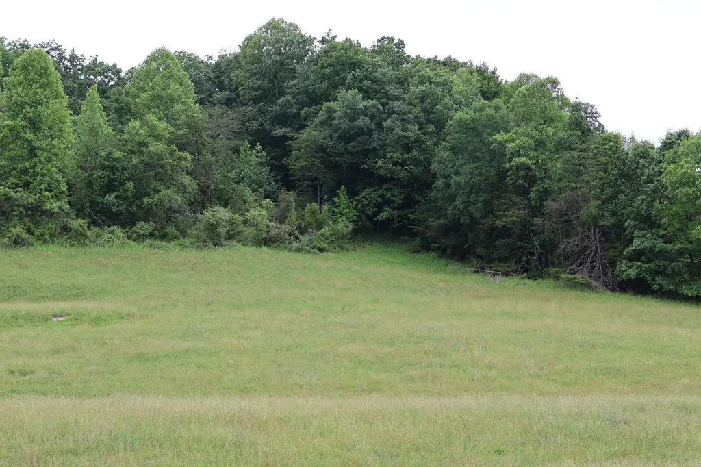 4135 Big Andy Ridge Road Rogers KY 41365