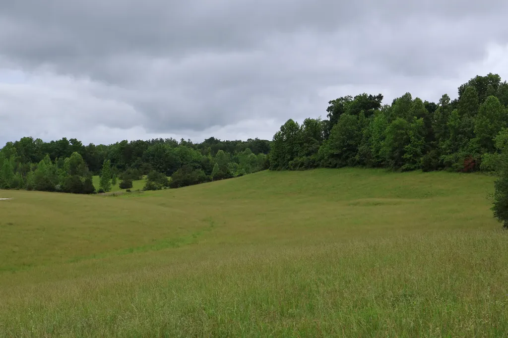 4135 Big Andy Ridge Road Rogers KY 41365