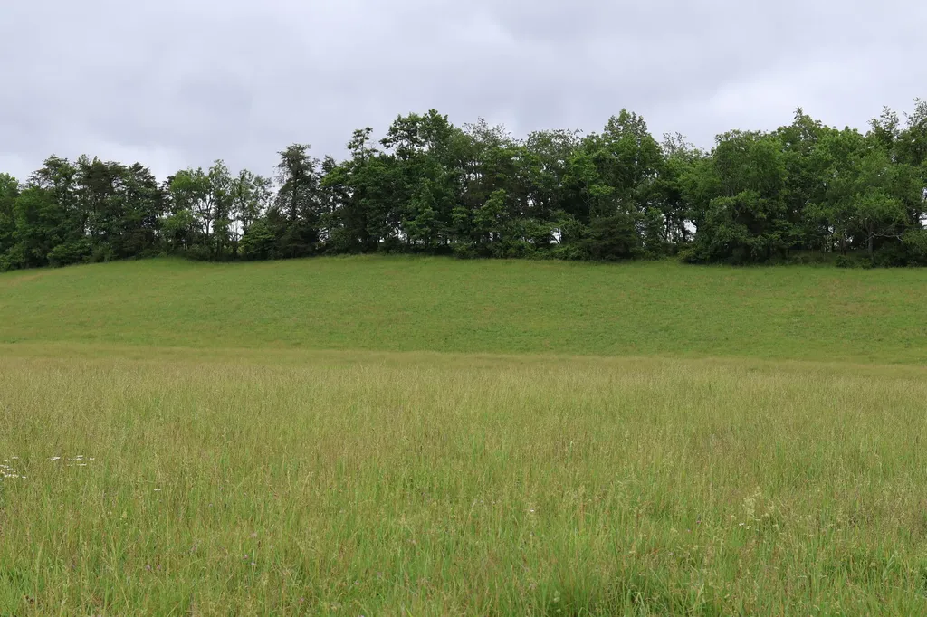 4135 Big Andy Ridge Road Rogers KY 41365