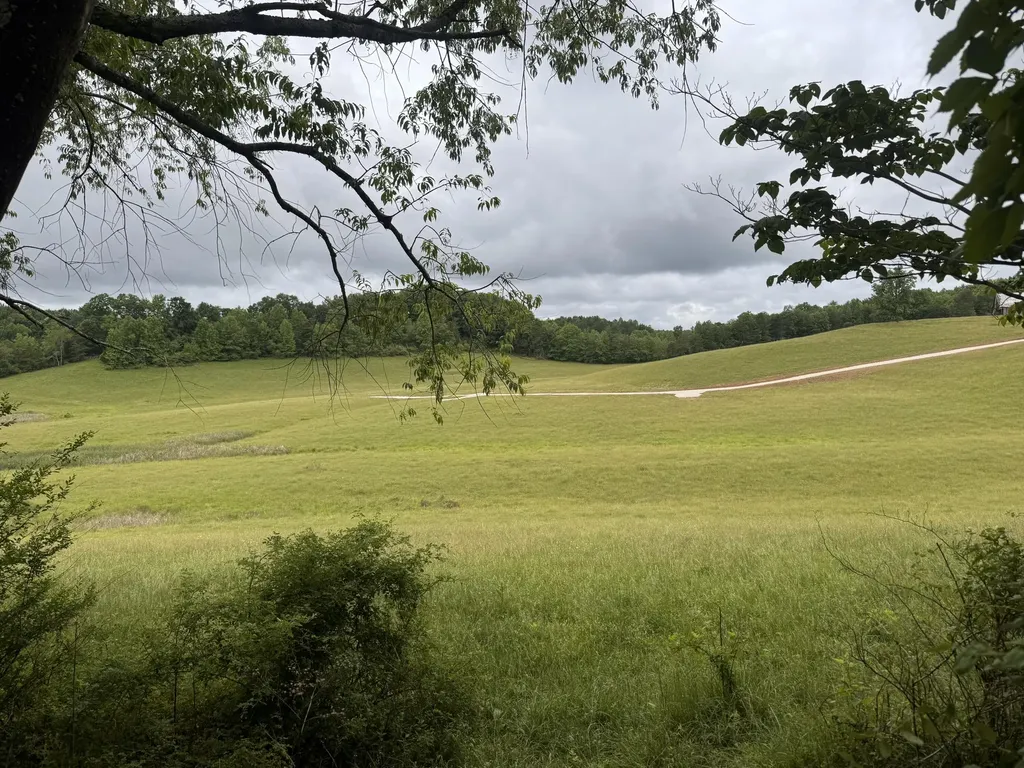 4135 Big Andy Ridge Road Rogers KY 41365