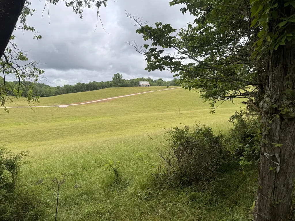 4135 Big Andy Ridge Road Rogers KY 41365