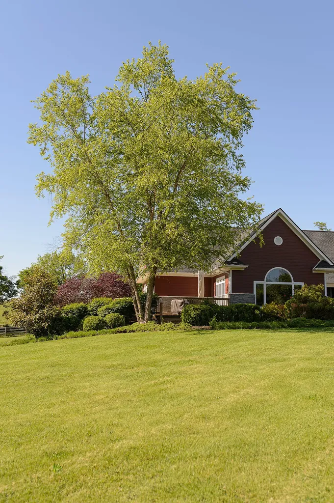 1541 Leesburg-newtown Road Georgetown KY 40324