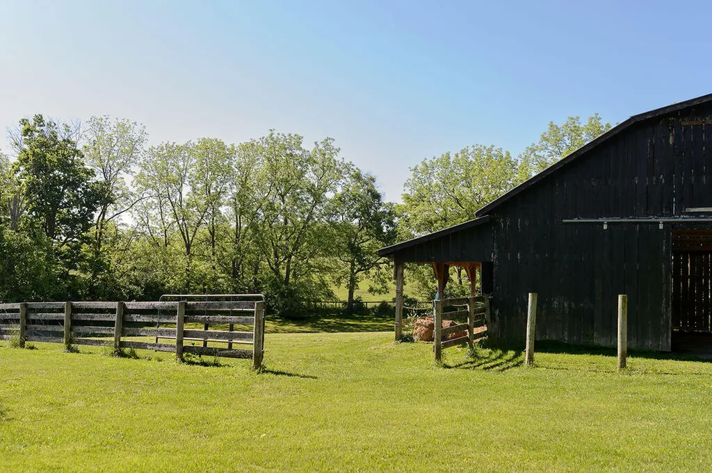1541 Leesburg-newtown Road Georgetown KY 40324