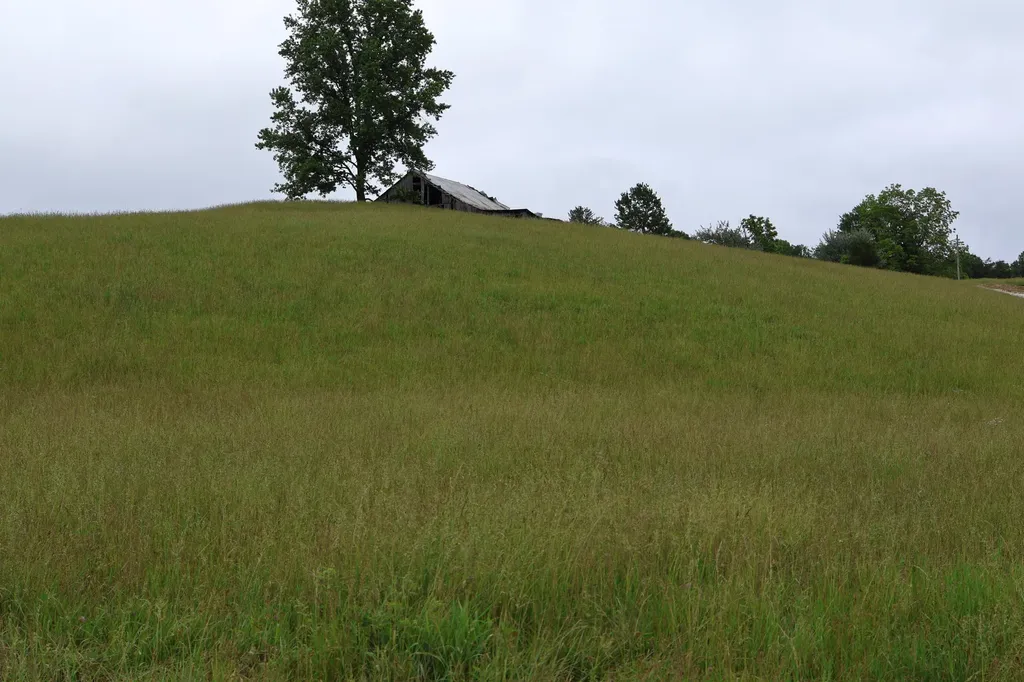 4135 Big Andy Ridge Road Rogers KY 41365