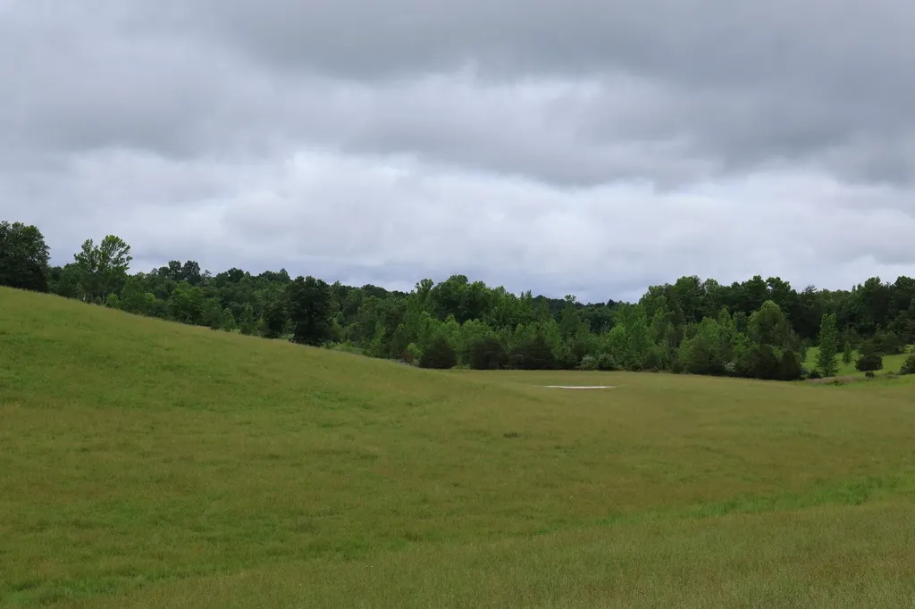 4135 Big Andy Ridge Road Rogers KY 41365