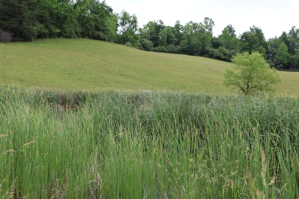 4135 Big Andy Ridge Road Rogers KY 41365